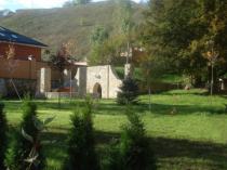 Озеленение частной усадьбы