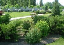 Озеленение промышленных предприятий