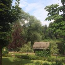 Озеленение частной усадьбы