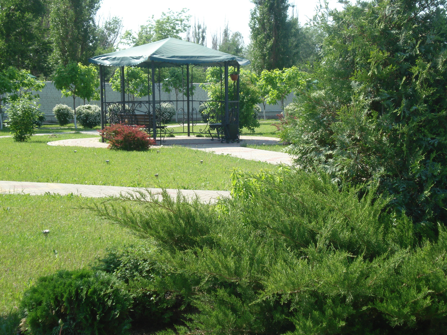 Озеленение промышленных предприятий