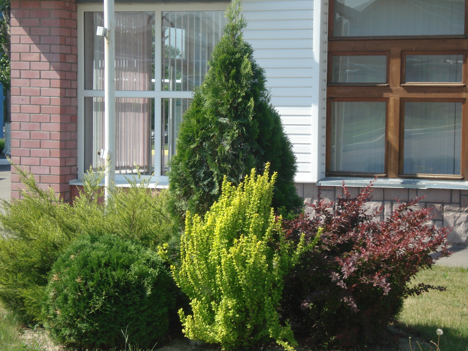 Озеленение промышленных предприятий