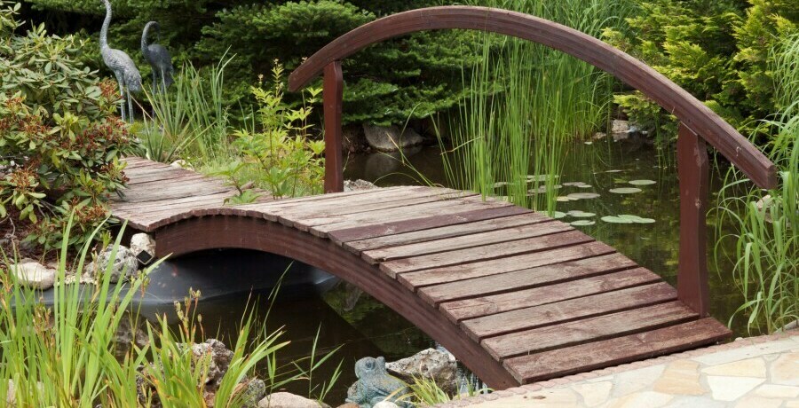 Описание изображения