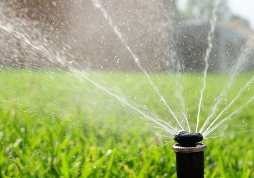 Описание изображения