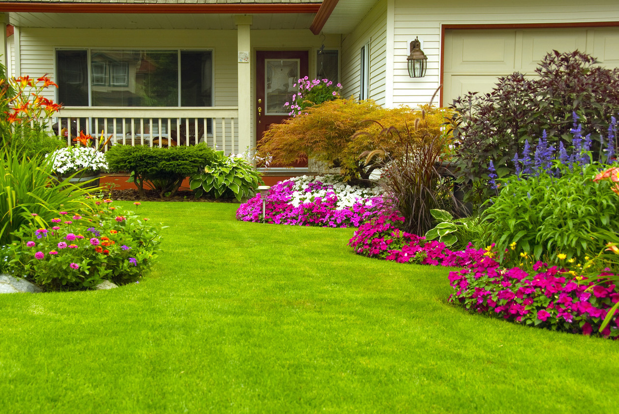 Описание изображения