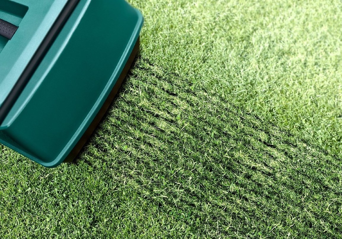 Описание изображения