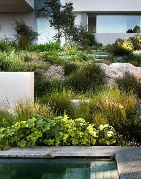 Описание изображения