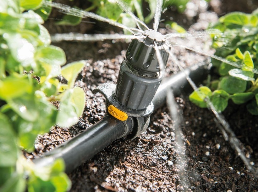 Описание изображения