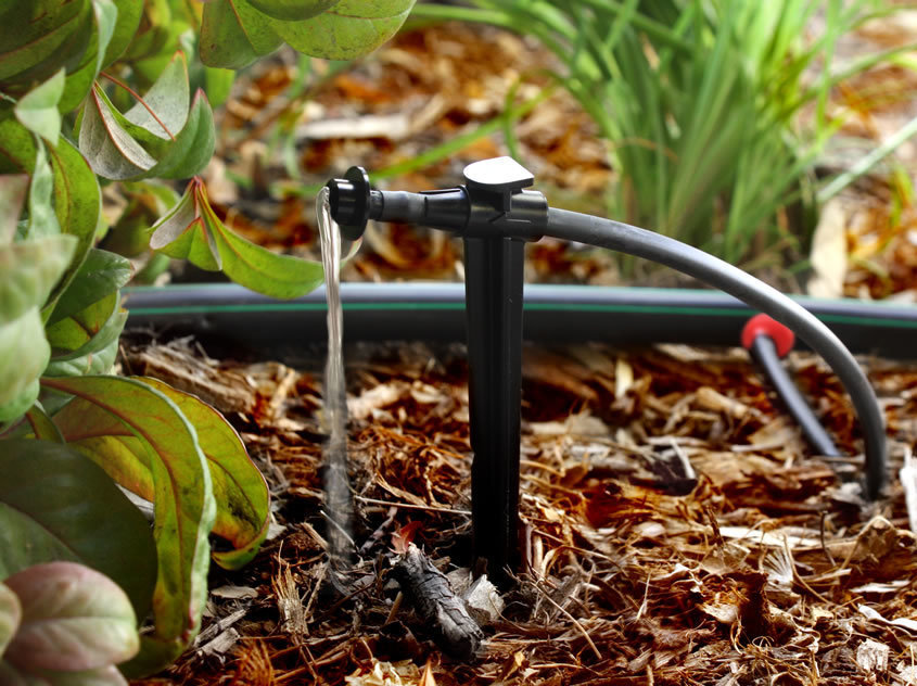 Описание изображения