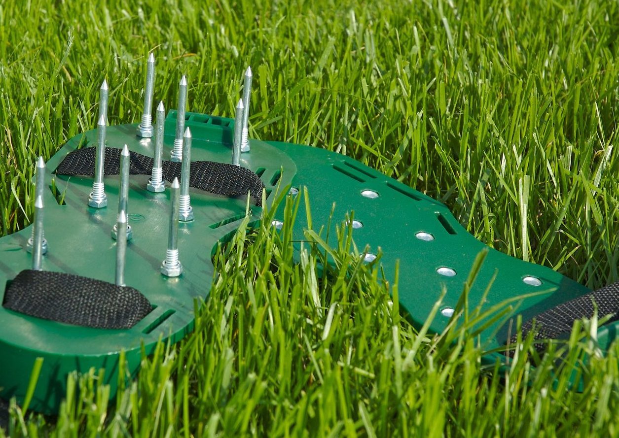 Описание изображения