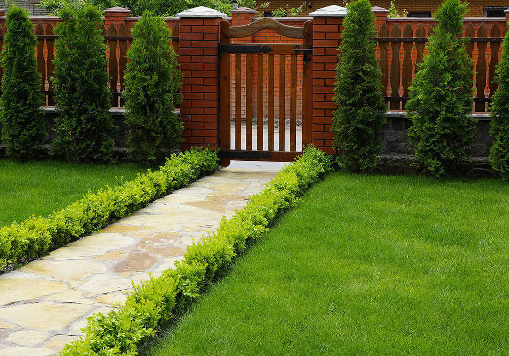 Описание изображения