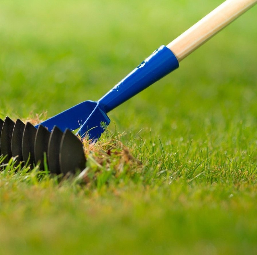 Описание изображения