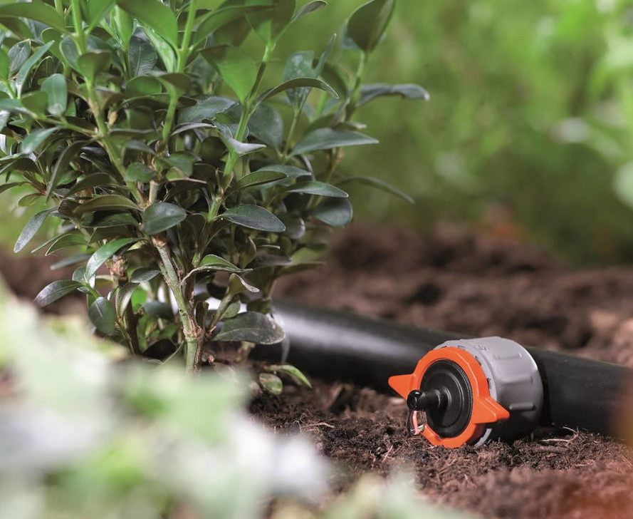 Описание изображения