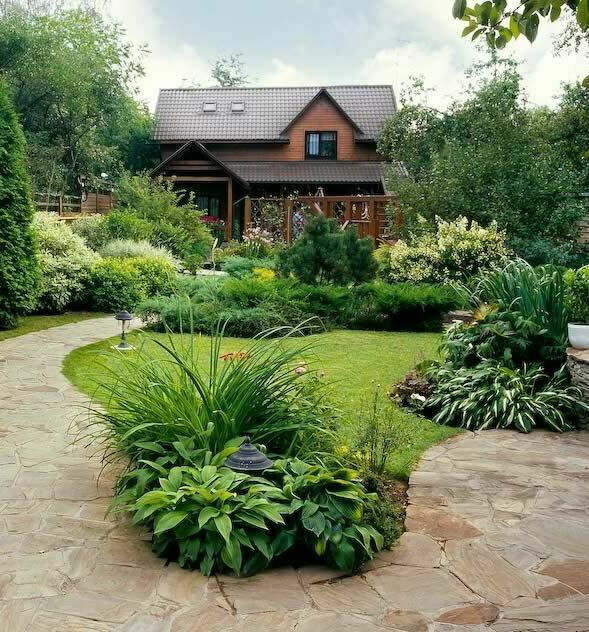 Описание изображения