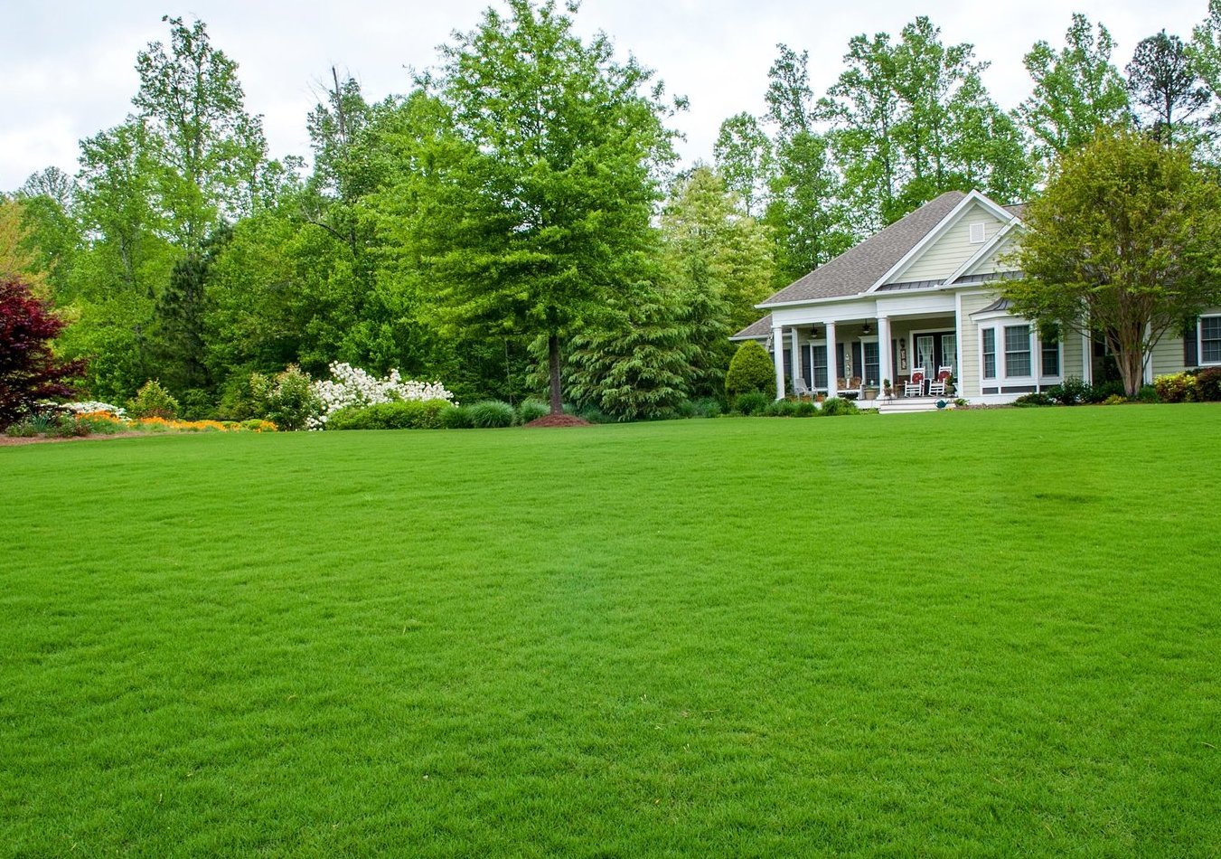 Описание изображения