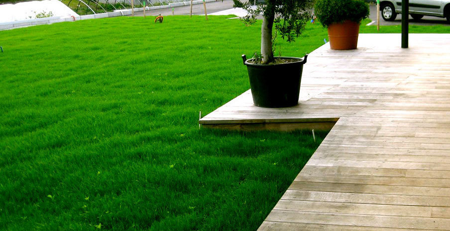 Описание изображения