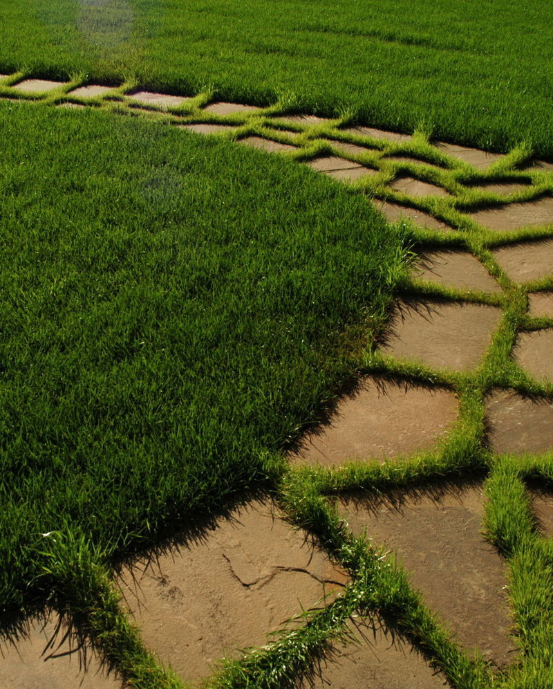 Описание изображения