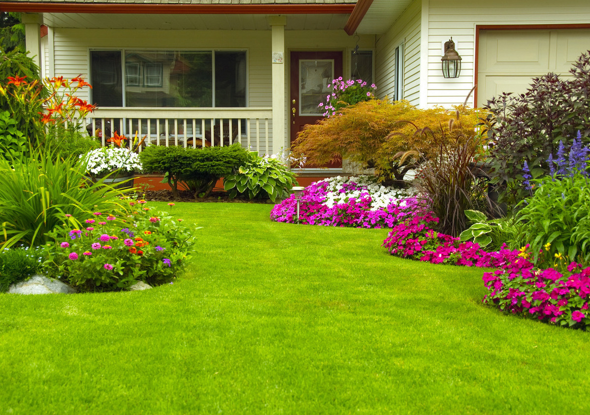 Описание изображения