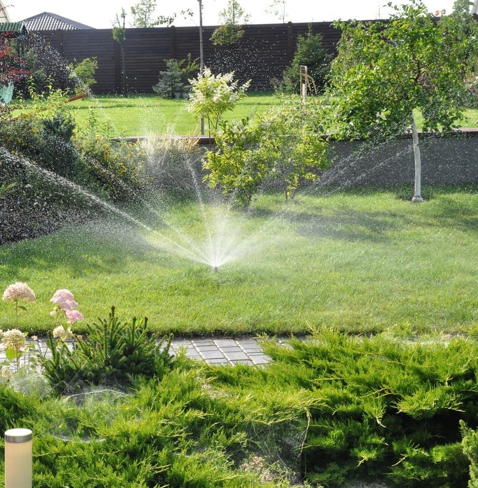 Описание изображения