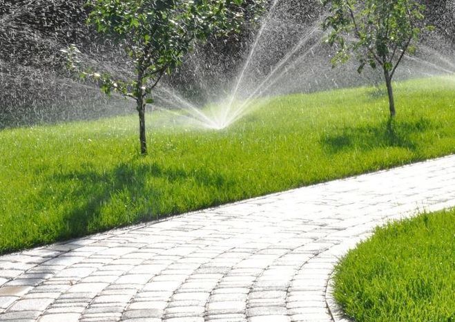 Описание изображения