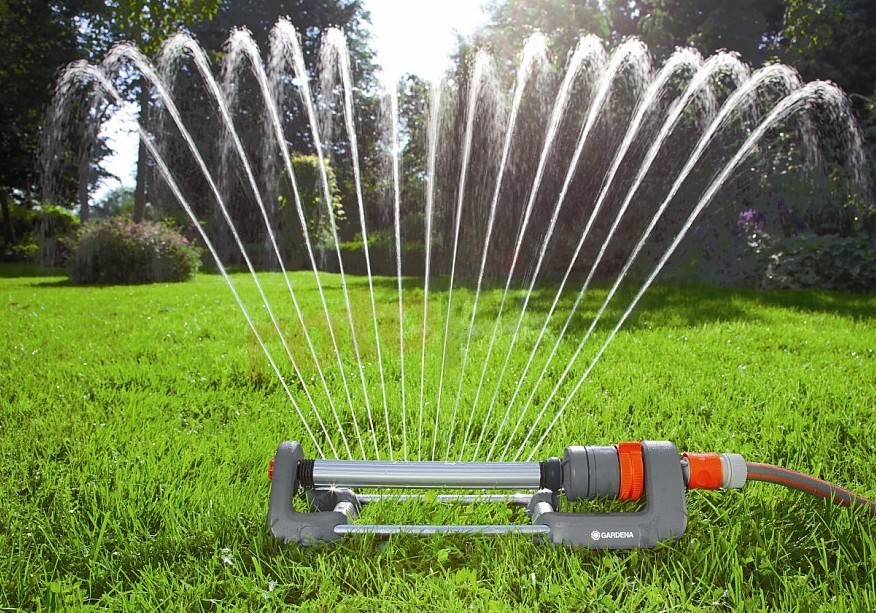 Описание изображения