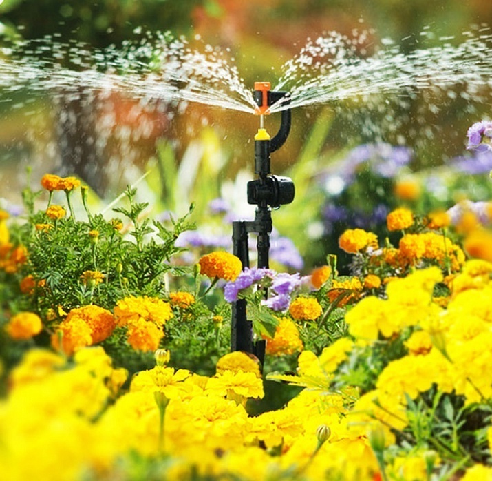 Описание изображения