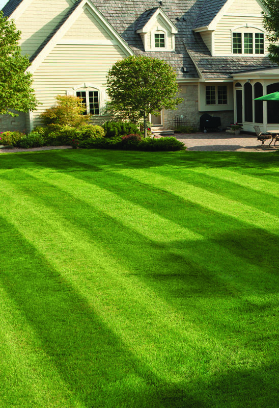 Описание изображения