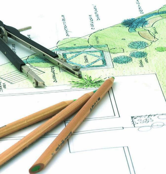 Описание изображения