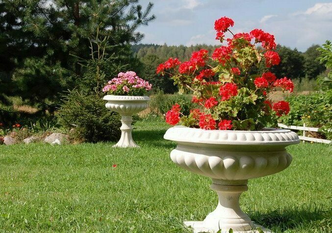 Описание изображения