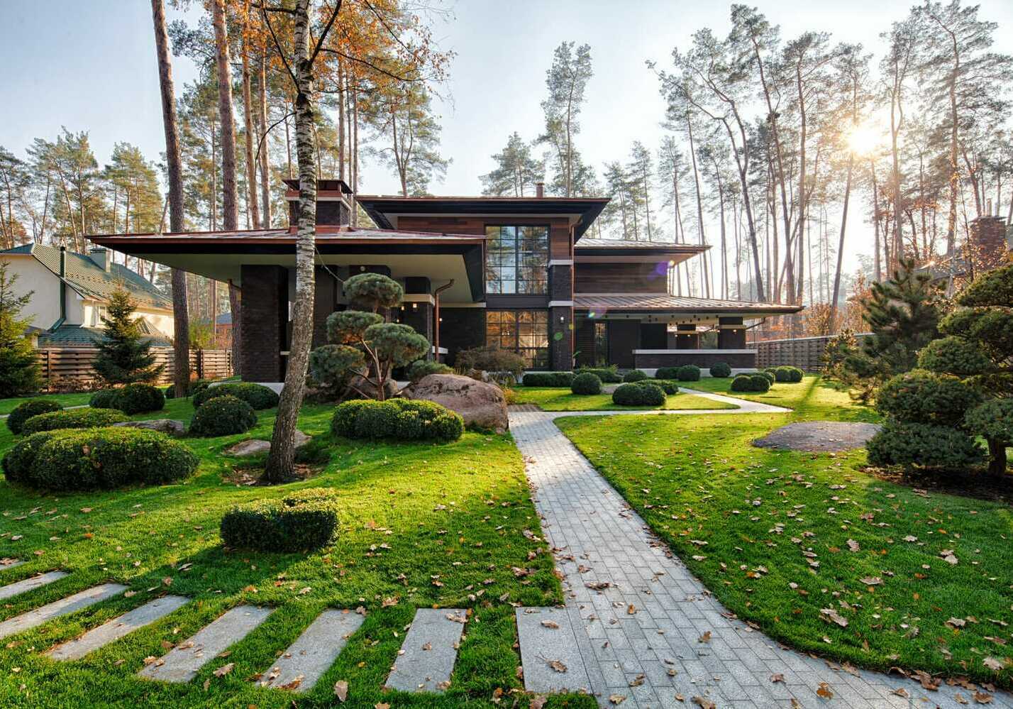 Описание изображения