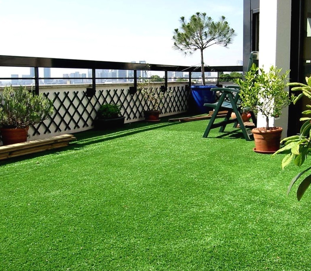 Описание изображения