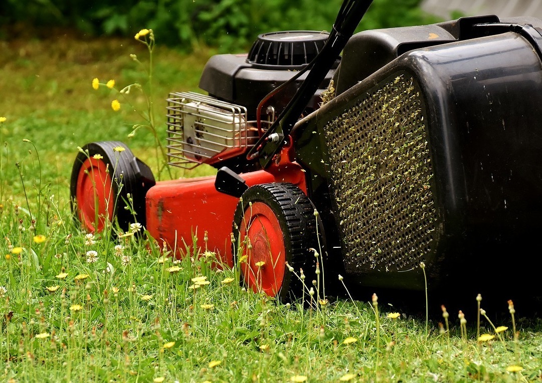 Описание изображения