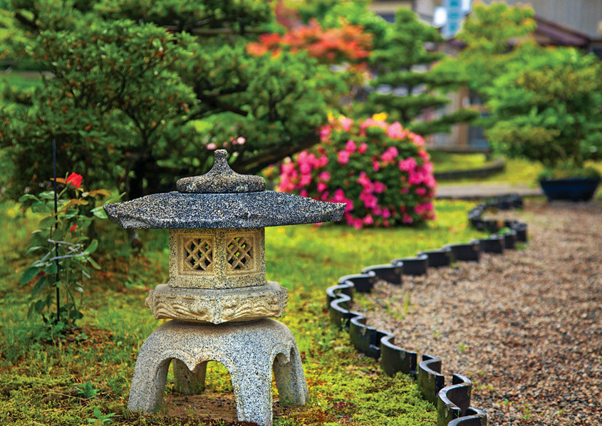 Описание изображения