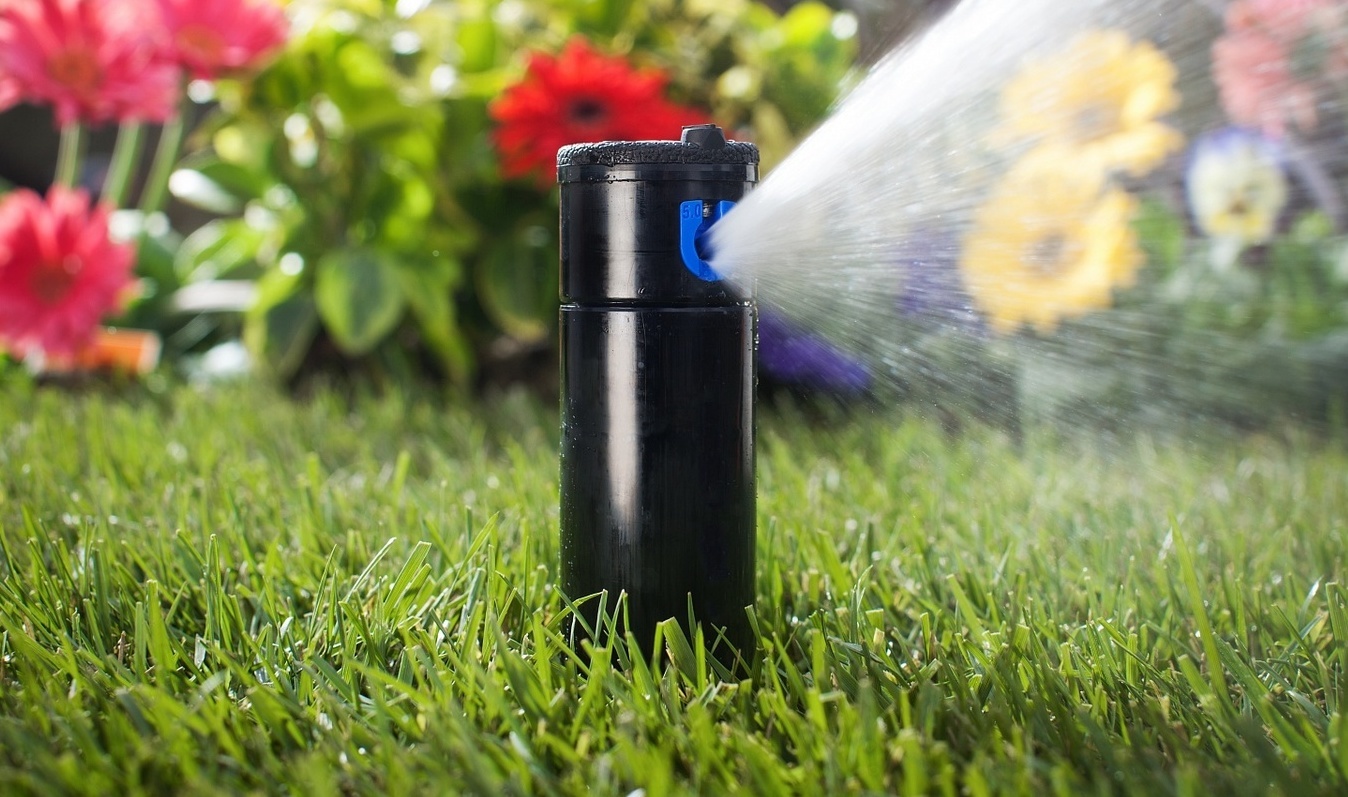 Описание изображения