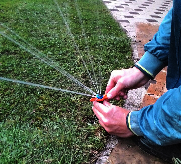 Описание изображения