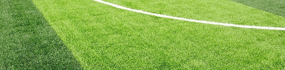 Описание изображения