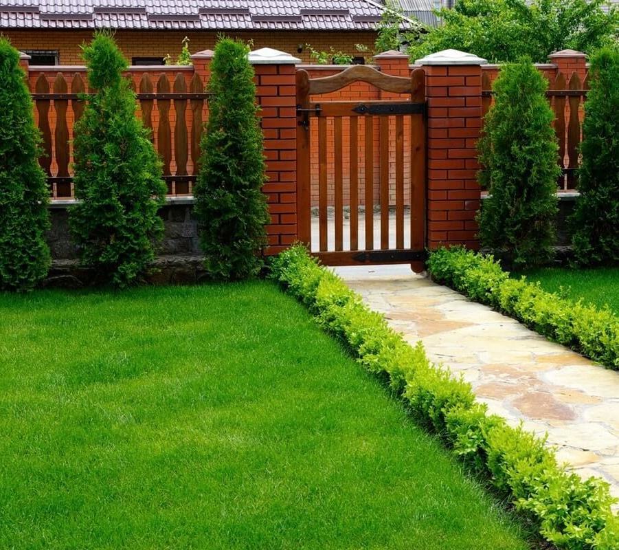 Описание изображения