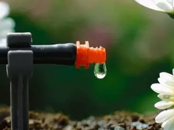 Описание изображения