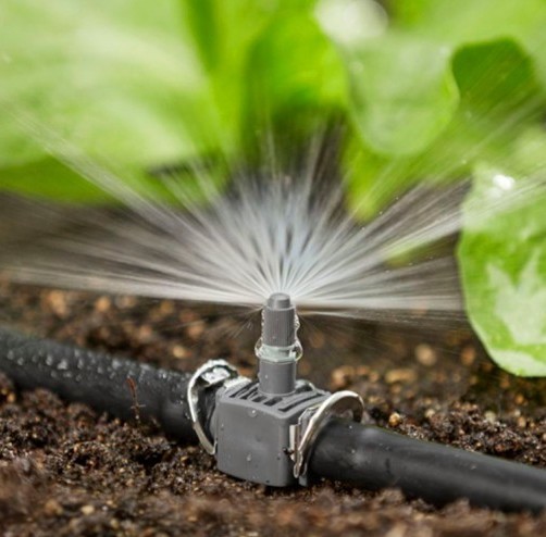 Описание изображения