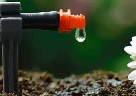 Описание изображения