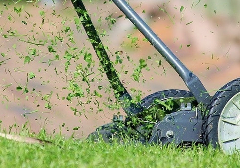 Описание изображения