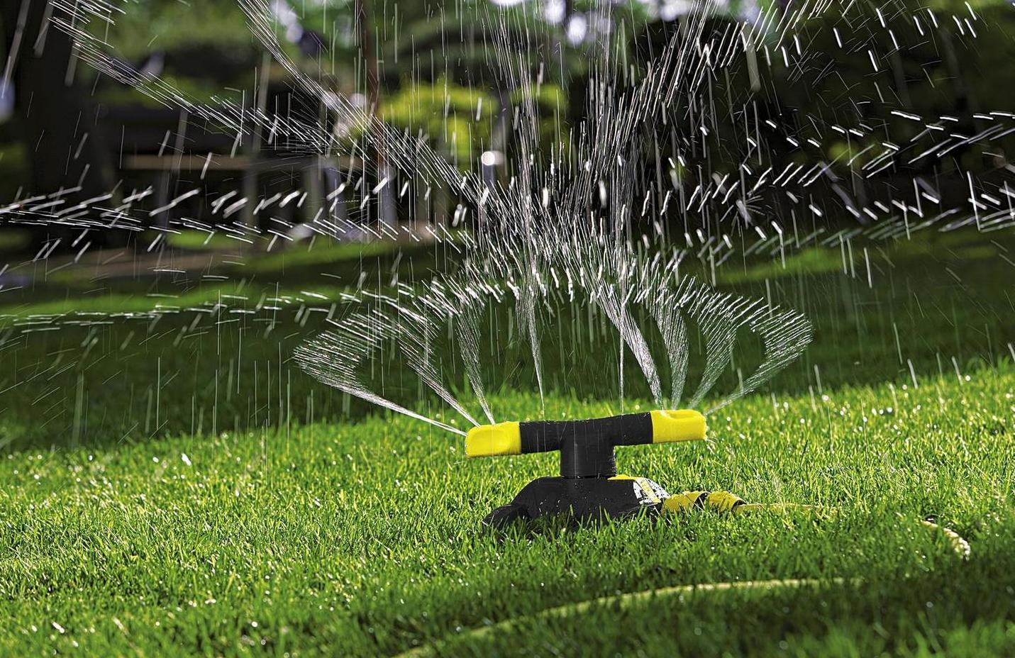 Описание изображения