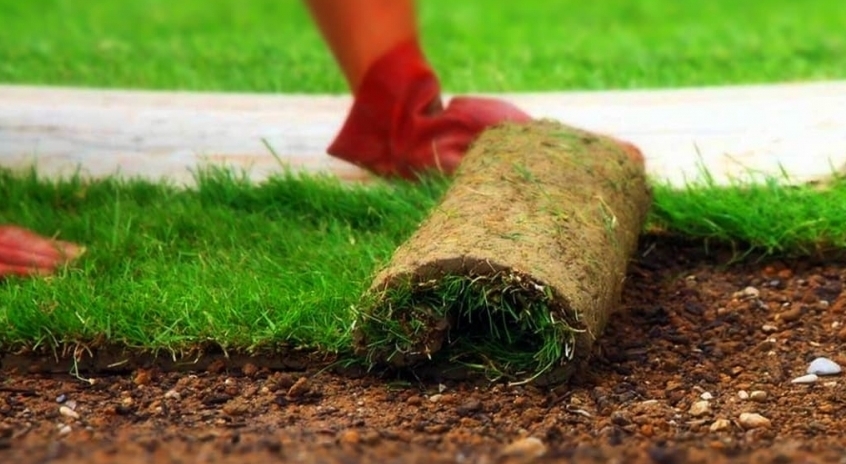 Описание изображения