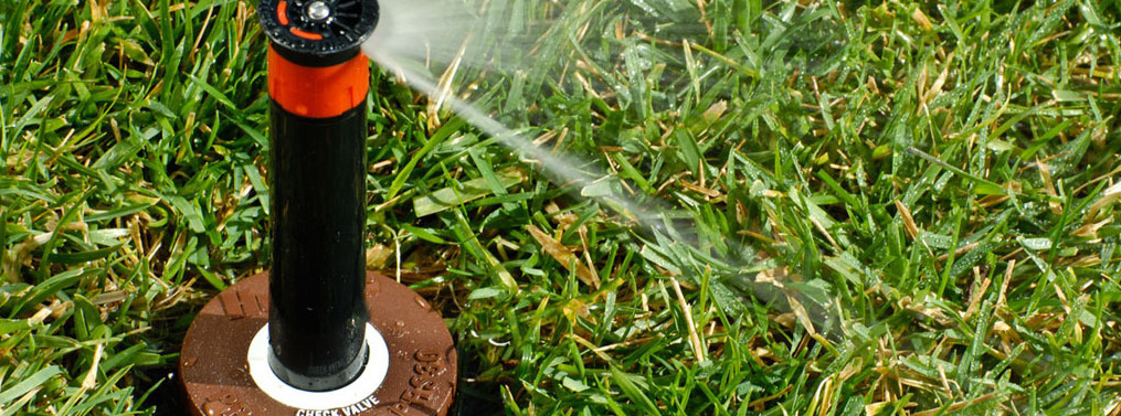 Описание изображения