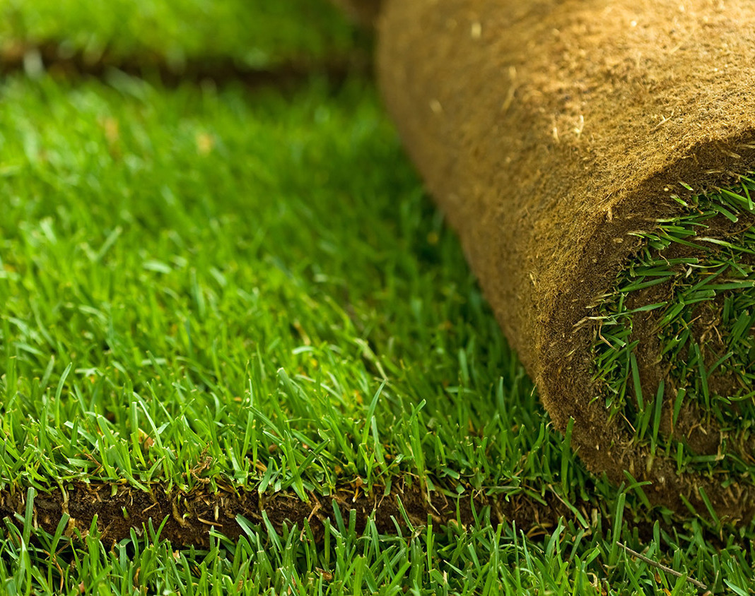 Описание изображения