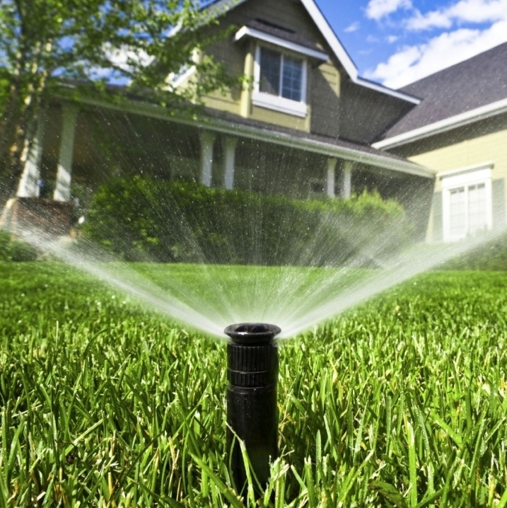 Описание изображения