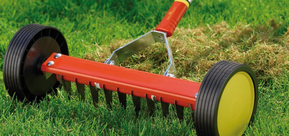 Описание изображения