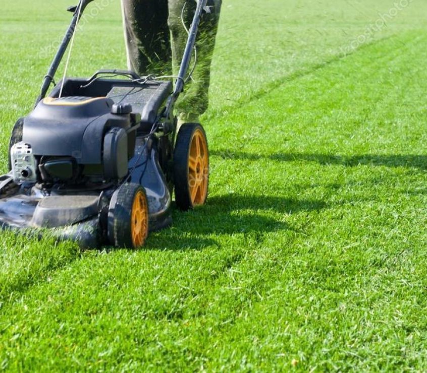 Описание изображения