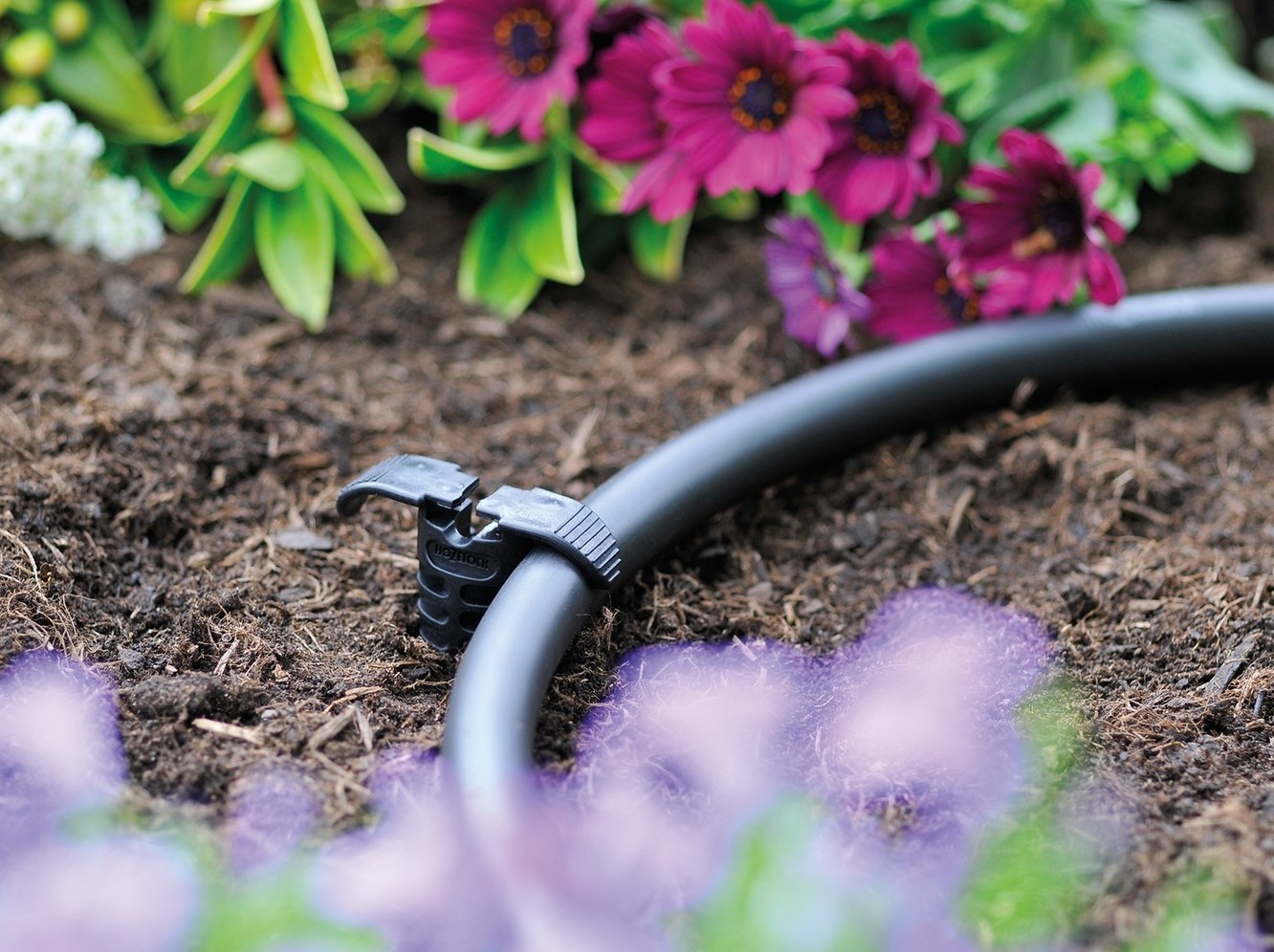 Описание изображения