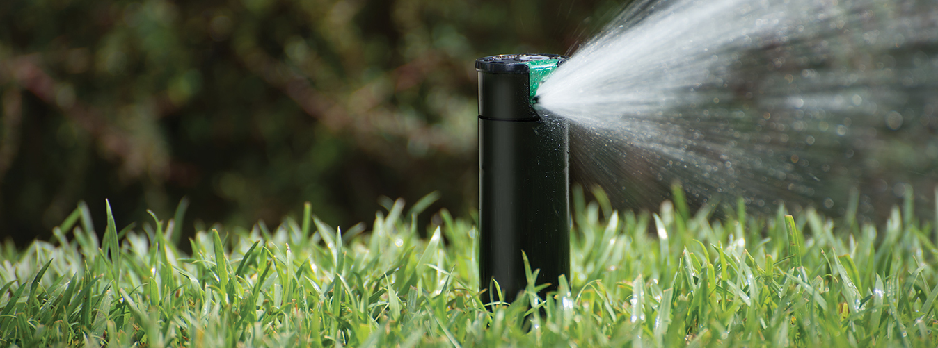 Описание изображения