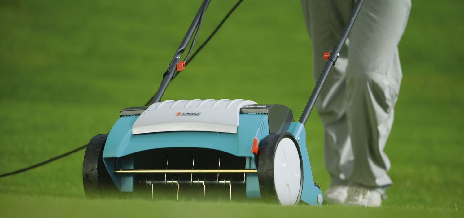 Описание изображения